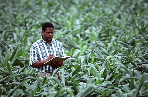 Crop Planning